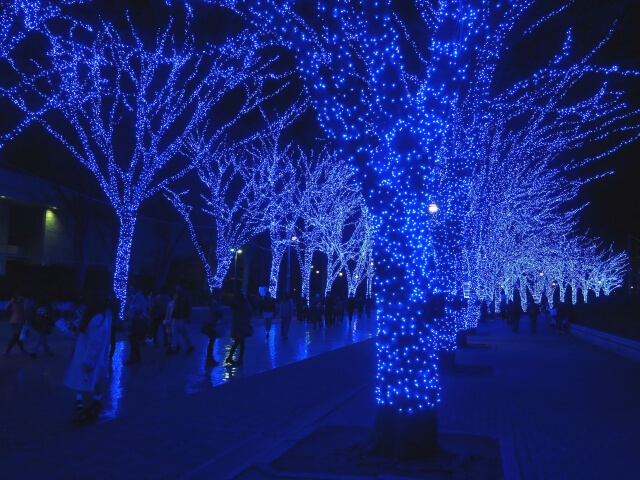 渋谷の青の洞窟